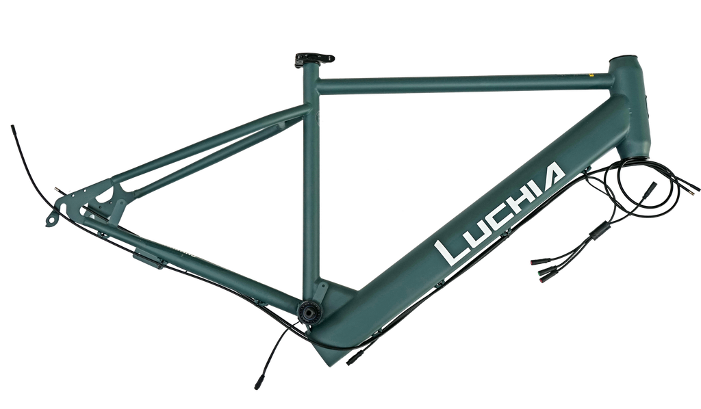 Assembled dark green frame of Pantone19-5230 (100% matte) 