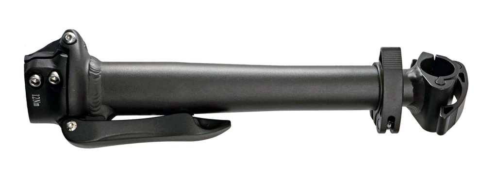 Stem