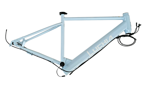 [BCP010006] Assembled light blue frame of PANTONE12-4611 